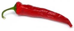 peperoncino calabria