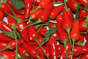 peperoncino calabria