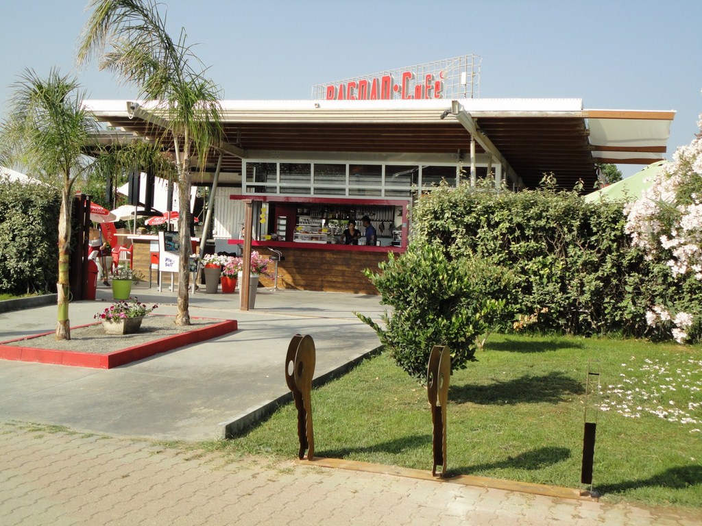 image10