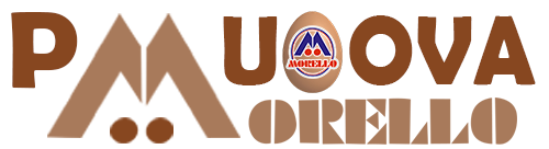 entra nella vetrina