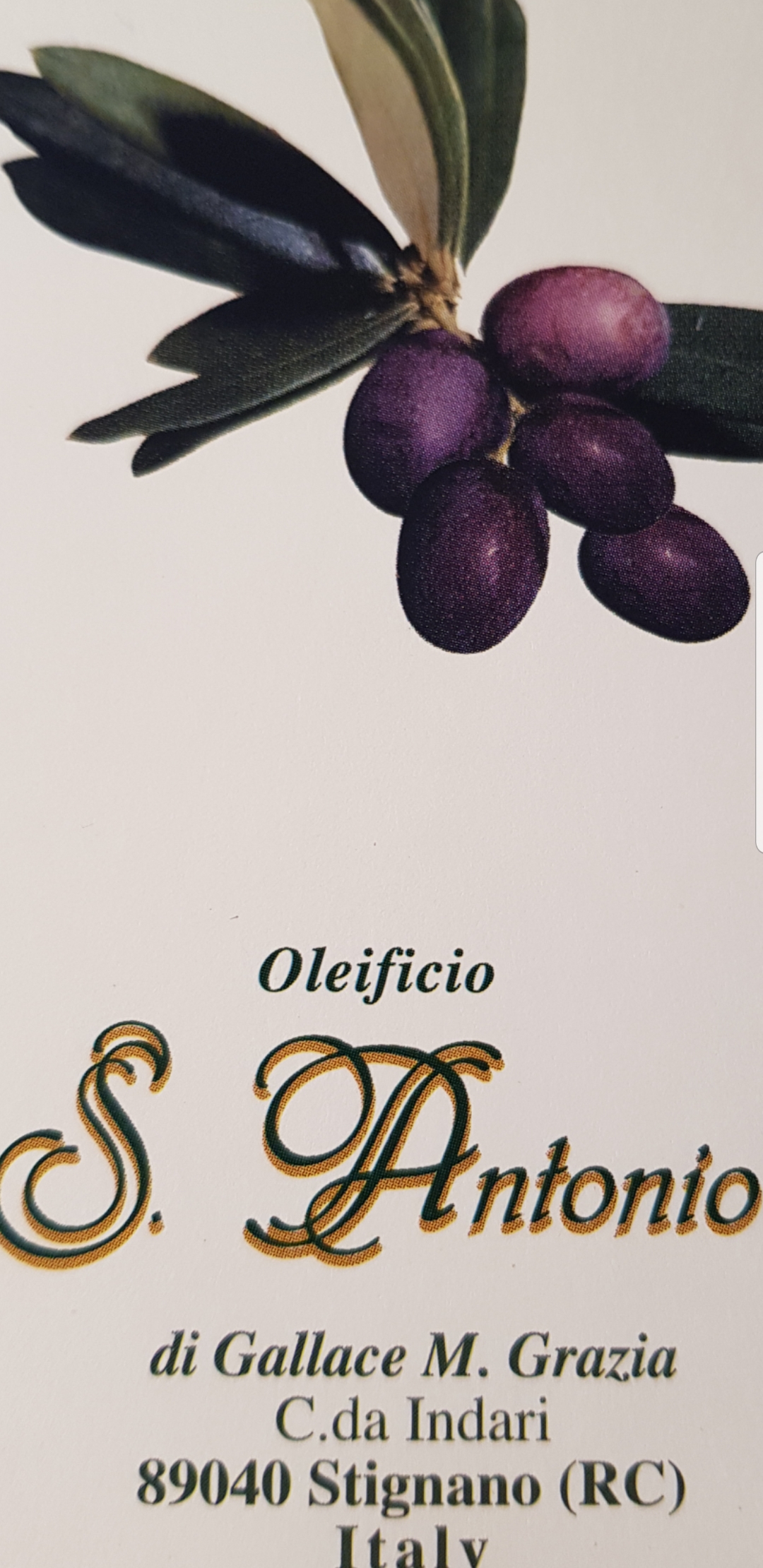 entra nella vetrina