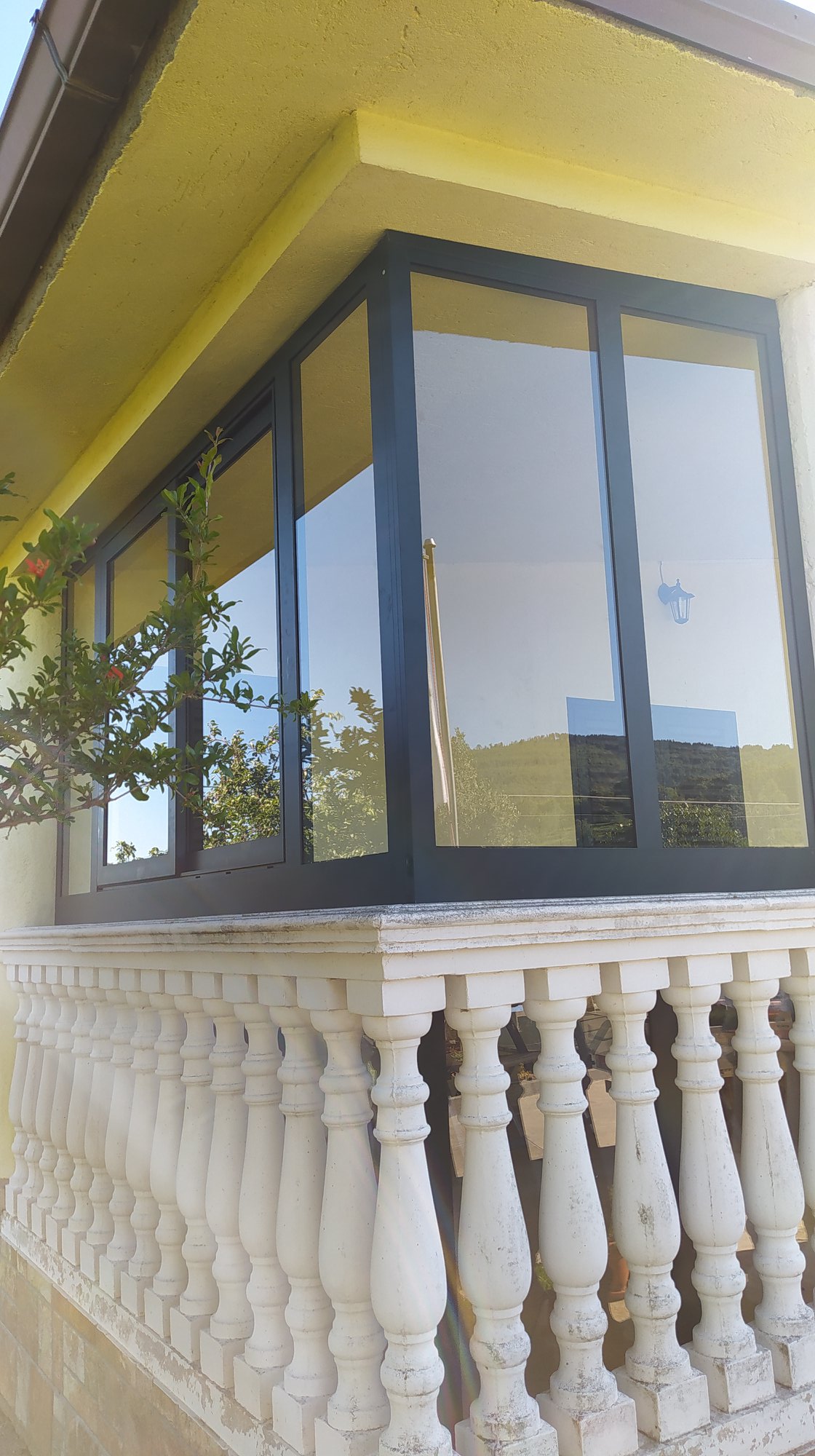 foto azienda