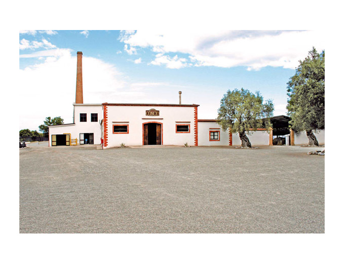foto azienda