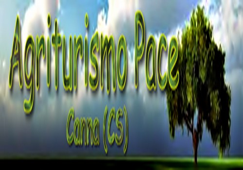 entra nella vetrina