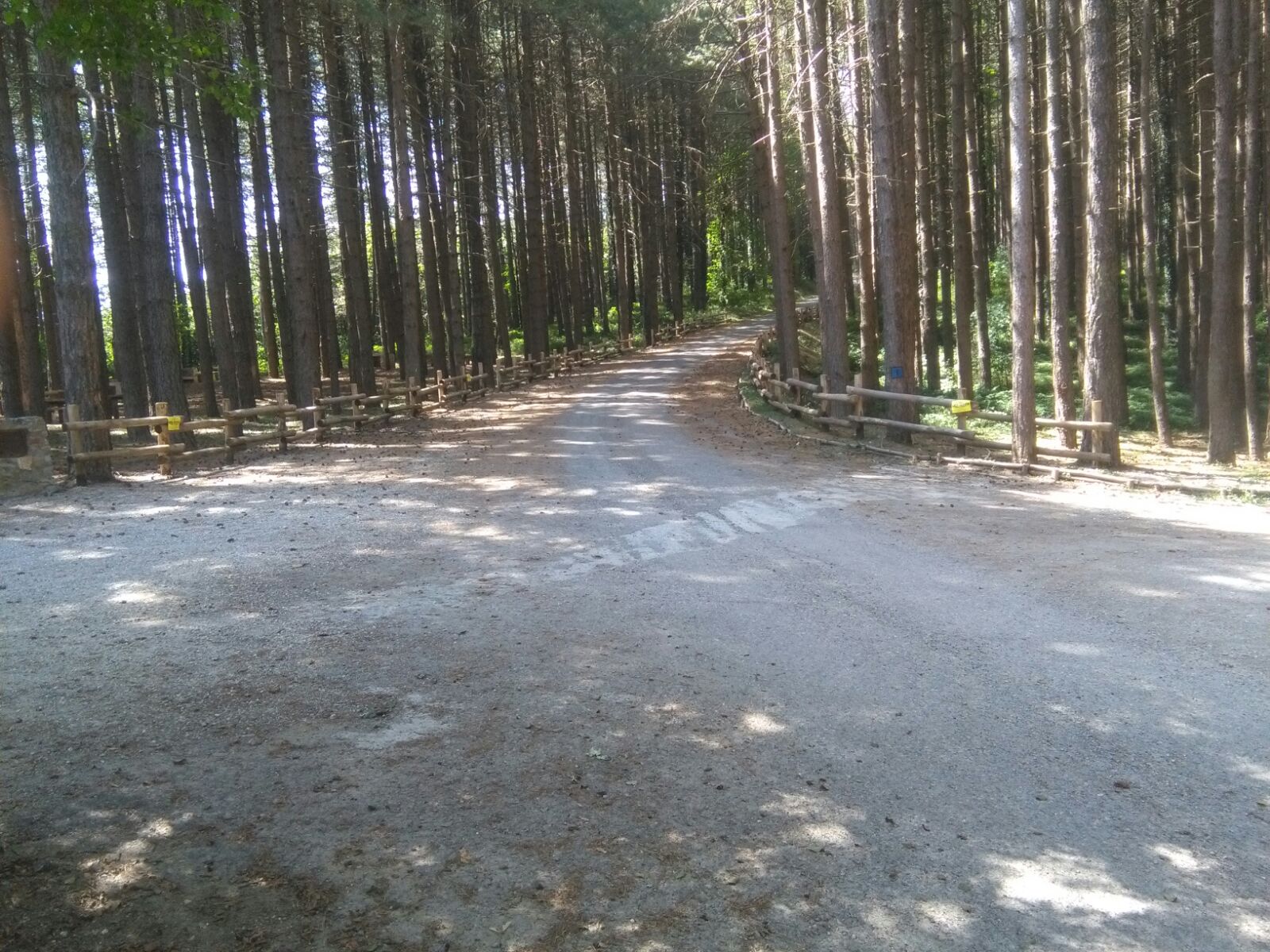 foto azienda