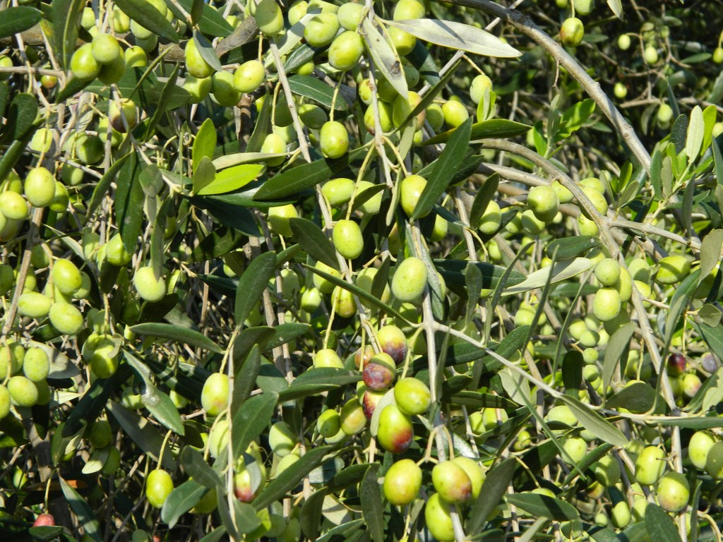 entra nella vetrina